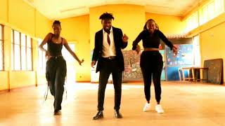 Sanaipei Tande ft Nyashinski  Jali official dance challenge  dance viral MISTAKEN DANCE CLASS [upl. by Dotty]