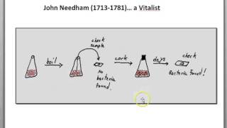 Spontaneous generation of bacteria Needham and Spallanzani [upl. by Magree]