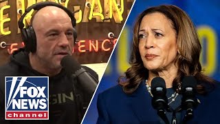 Joe Rogan reveals why Kamala Harris interview didnt happen [upl. by Nylhsoj69]