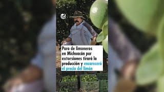 Paro de limoneros en Michoacán por extorsiones tirará la producción y encarecerá el precio del limón [upl. by Seamus]