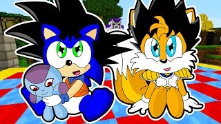 BEBE SONIC Y BEBE TAILS SE DISFRAZAN DE DRAGON BALL  NO ELIJAS EL DISFRAZ INCORRECTO EN MINECRAFT [upl. by Schlicher]