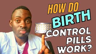 How Do Birth Control Pills Work Science of birth control pills Explained [upl. by Feigin]