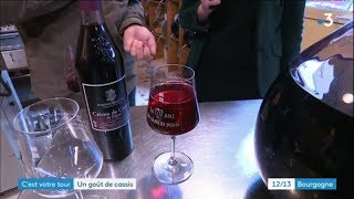 Cest votre tour  quotDu grain à la crèmequot  tout sur le cassis de Bourgogne [upl. by Way]