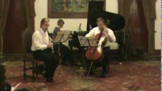 Robert Muczynski Fantasy Trio Op26 mov I [upl. by Airot]