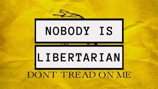 The Failed Ideology of Libertarianism  Political Philosophy [upl. by Serafina]