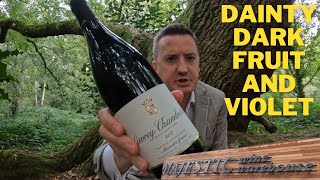 Alexandre Gauvin Gevrey Chambertin 2017 from Majestic Wine [upl. by Okime108]