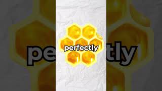 Why are Honeycombs Hexagonal🤔Explained shorts viral [upl. by Itnava]