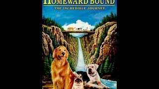 Opening to Homeward Bound The Incredible Journey 1993 VHS [upl. by Ajam373]