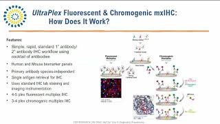 Benefits of RealTime PCR Multiplexing [upl. by Kerri]