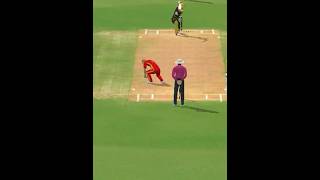 D STEYN bowling action on real cricket 24 viralshort [upl. by Robena453]