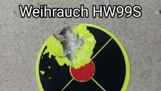 Leading in the new air rifle  Weihrauch HW99S  HW50 [upl. by Wilscam]