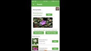 PlantSnap identifies a Lapland rosebay Rhododendron lapponicum [upl. by Maryanna231]