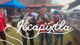 Expo Yecapixtla 2022 [upl. by Niltak]