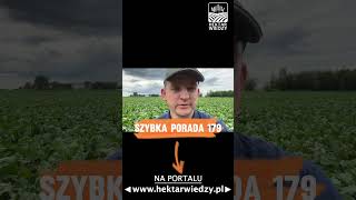 OBORNIK TAŃSZY OD NPKów  HEKTAR WIEDZY  SZYBKA PORADA 179 [upl. by Taima]