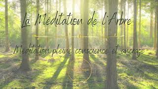 MÉDITATION PLEINE CONSCIENCE  ANCRAGE 🌱😌 [upl. by Lipson]