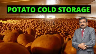 Potato Cold Storage  potato cold storage project cost potato cold storage business Gujarat NSSPL [upl. by Fadden]