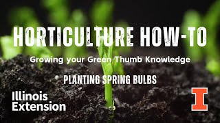 Horticulture HowTo  Spring Bulb Planting [upl. by Gail295]