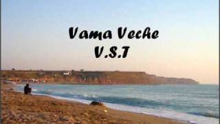 VST  Vama Veche [upl. by Kanya]