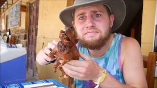 Eating Guinea Pig in Peru Cuy [upl. by Ah176]