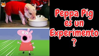 5 Teorias de Peppa Pig y su familia Es la familia Pig un experimento historia peppapig teoria [upl. by Tigges]