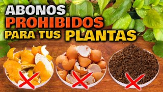 ¡CUIDADO Estos ABONOS CASEROS son PELIGROSOS para tus PLANTAS  Abono Casero Jardin o Huerto Urbano [upl. by Daphene]