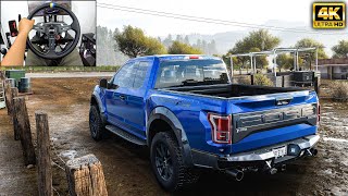 Ford Raptor F150  OFFROAD  Forza Horizon 5  g29 gameplay [upl. by Nema]