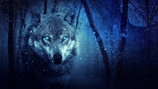 Wolves howling in the night 8 Hours of wolf sounds [upl. by Christianson104]