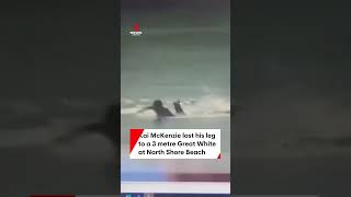 🇦🇺🦈🏄 Vidéo de lattaque de requin blanc sur Kai McKenzie  23072024 shark SharkAttack [upl. by Niraa]