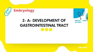 Development of Gastrointestinal tract [upl. by Daniella]