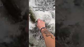 countrymusic fishing trout creekfishing rainbowtrout steelheadfishing [upl. by Nnaul]