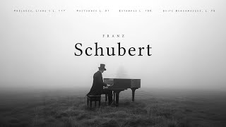 Best of Schubert  Classical Music Gems [upl. by Hsirehc947]