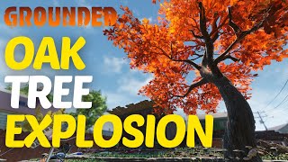 Oak Tree Explosion Walkthrough in Grounded 2024 [upl. by Dry930]