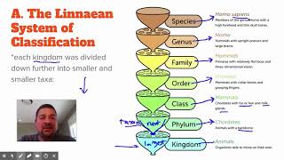 Sec 102  The Linnaean System of Classification [upl. by Otineb232]