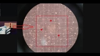 Hemocytometer  Counting of cells  Amrita University [upl. by Ecerahs]