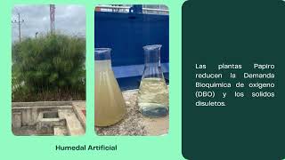 Video Toxicología Ambiental Practica en Tunja [upl. by Amrita738]