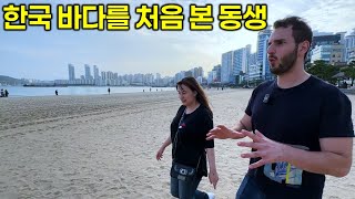 난생처음 한국 바다를 본 캐나다 동생 반응 부산을 여행하며 너무 신기한게 많은 동생 ㅋㅋ [upl. by Barnabe]