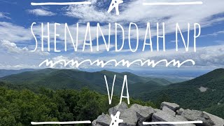 Shenandoah National Park VA 🍃 [upl. by Norvan756]