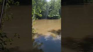 Canopy walk at Blacklick Metro Park nature relaxing [upl. by Lubbi]