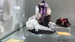 Munich Minerals expo 2024 gemshow gemworld crystals nature naturelovers [upl. by Atsok732]