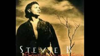 Stevie B  Waiting For Your Love [upl. by Lehcor]