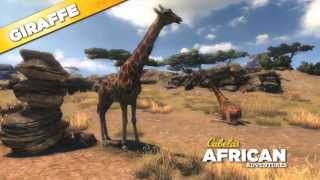 Cabelas African Adventures Giraffe 360 [upl. by Lidah459]