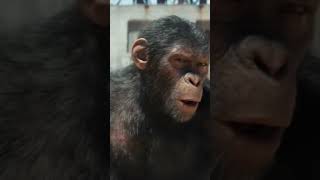 SPOILER WARNING LEAKED Entire Plot Kingdom of the Planet of the Apes movierecap recap [upl. by Midis]