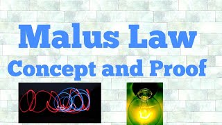 malus law in hindi [upl. by Marih]