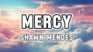 Shawn Mendes  Mercy Lyrics [upl. by Aiuqenehs]