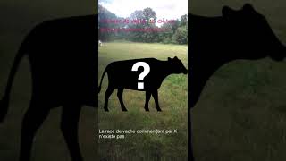 Ta race de vache si ton prénom commence par X vaches [upl. by Sine]