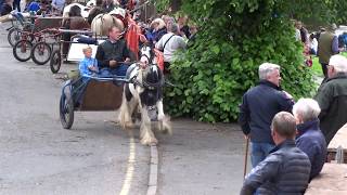 Appleby Horse Fair 2017 in Westmoreland with Gypsy CaraVanners [upl. by Holly]