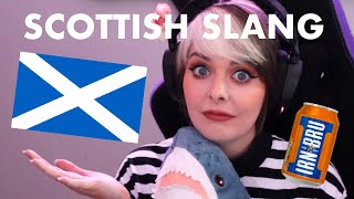 BEST SCOTTISH SLANG AND PHRASES [upl. by Arted231]