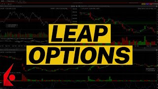 Complete Guide To Buying LEAP Options [upl. by Opalina]