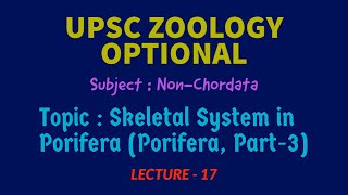 UPSC ZOOLOGY NonChordata L17  Skeletal System in Porifera Porifera Part3  IAS  Dr RK Sir [upl. by Isoj443]