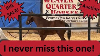 Weaver Quarter Horses  Results from the 28th annual production Sale [upl. by Aylward]